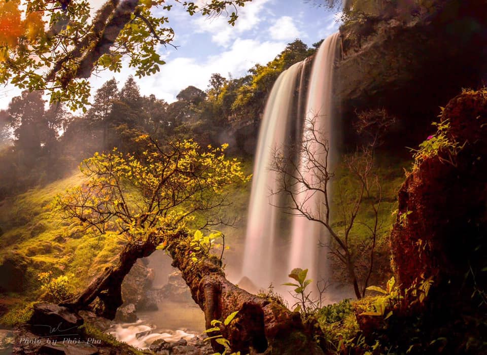 134582406_2357156711084748_7869437253309565293_n