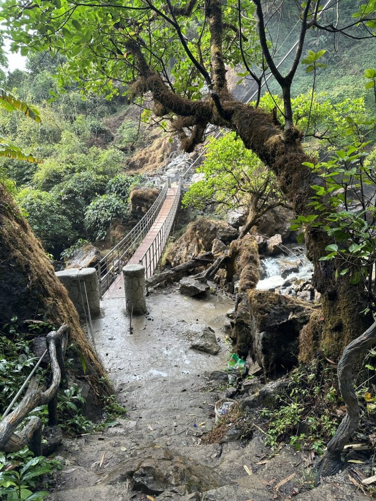 z4365400793602_1b95a2626c5e8e2634b7e96352d9be73